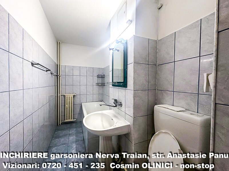 Nerva Traian, str. Anastasie Panu,